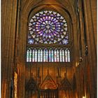 Notre Dame, Rosette