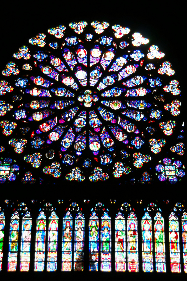 Notre Dame, Rosette