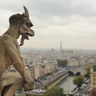 Notre Dame : sui tetti di Parigi