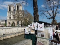 Notre Dame und Buchstände