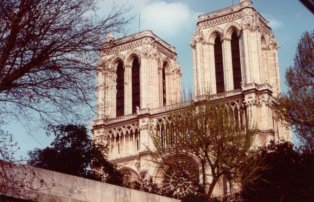 Notre Dame vista dalla senna.