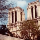 Notre Dame vista dalla senna.