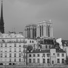 Notre Dame vu depuis la Seine