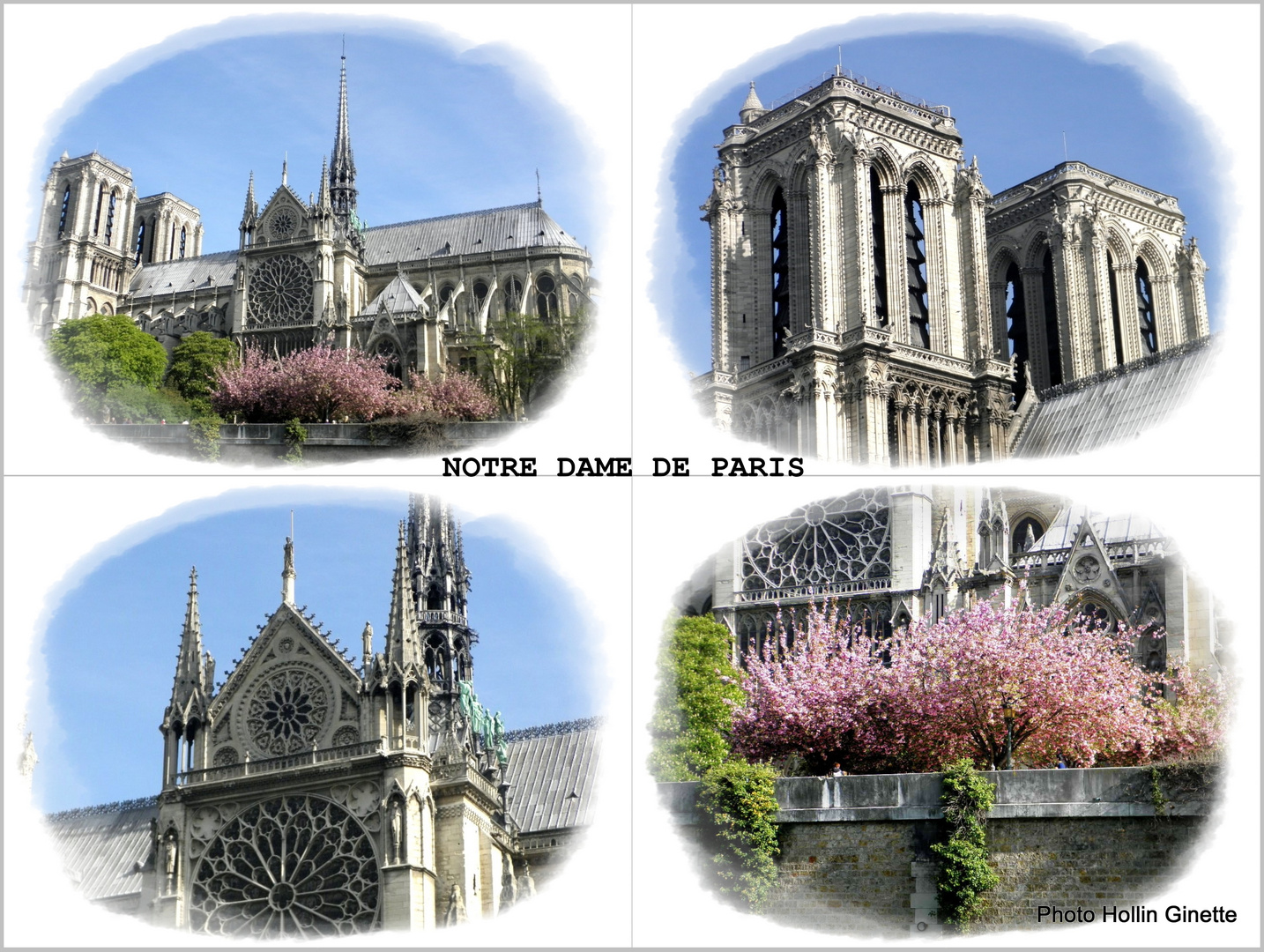 NOTRE DAME VUE DE LA SEINE