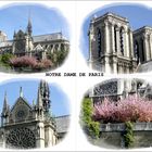 NOTRE DAME VUE DE LA SEINE