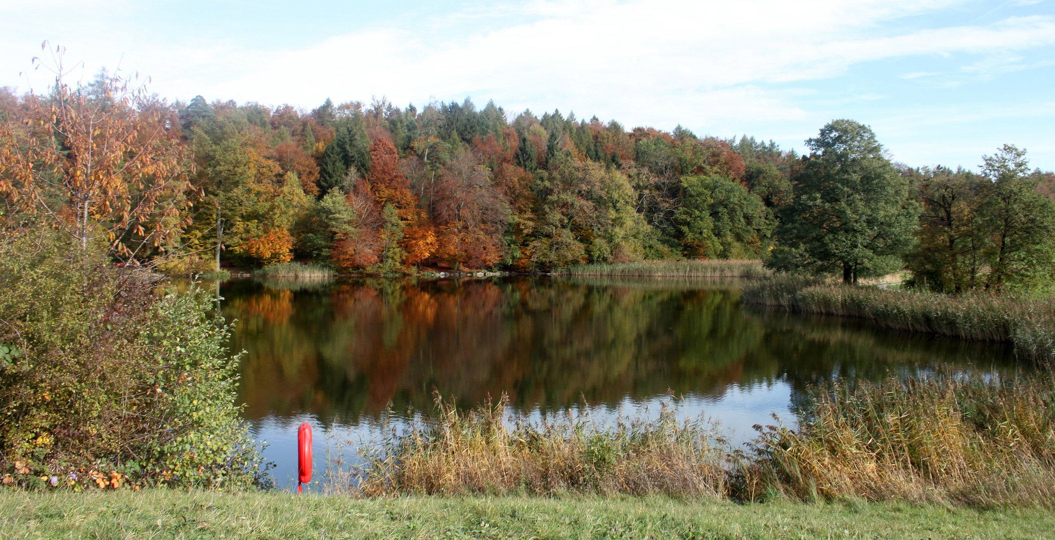 Notre étang / Nuestro estanque / Unser Teich