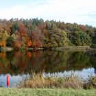 Notre étang / Nuestro estanque / Unser Teich