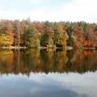 Notre étang / Nuestro estanque / Unser Teich..02