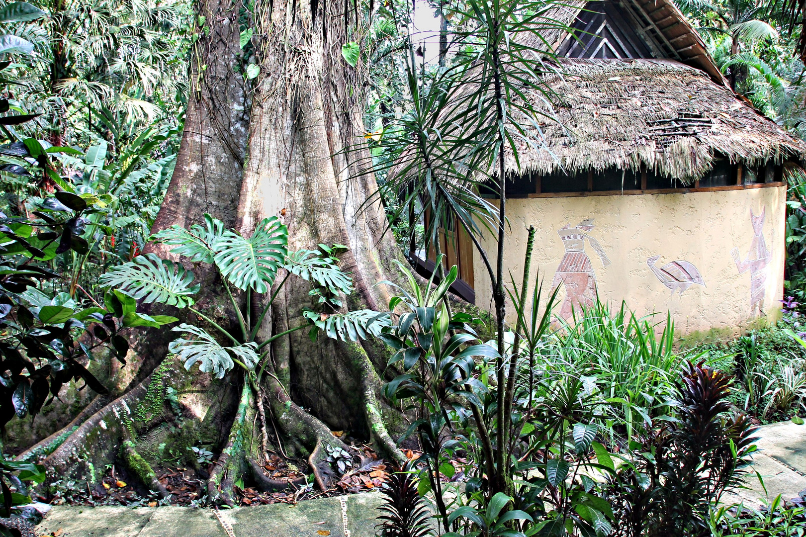 notre hôtel-case dans la jungle