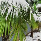  notre journée de neige