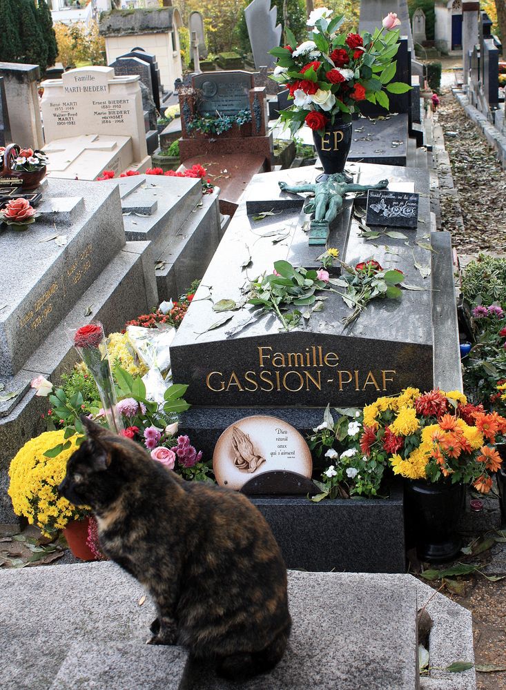 Notre "Piaf" gardée par un chat ! (Cimetière du Père Lachaise)