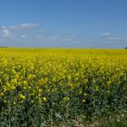 Notre Picardie ensoleillée...