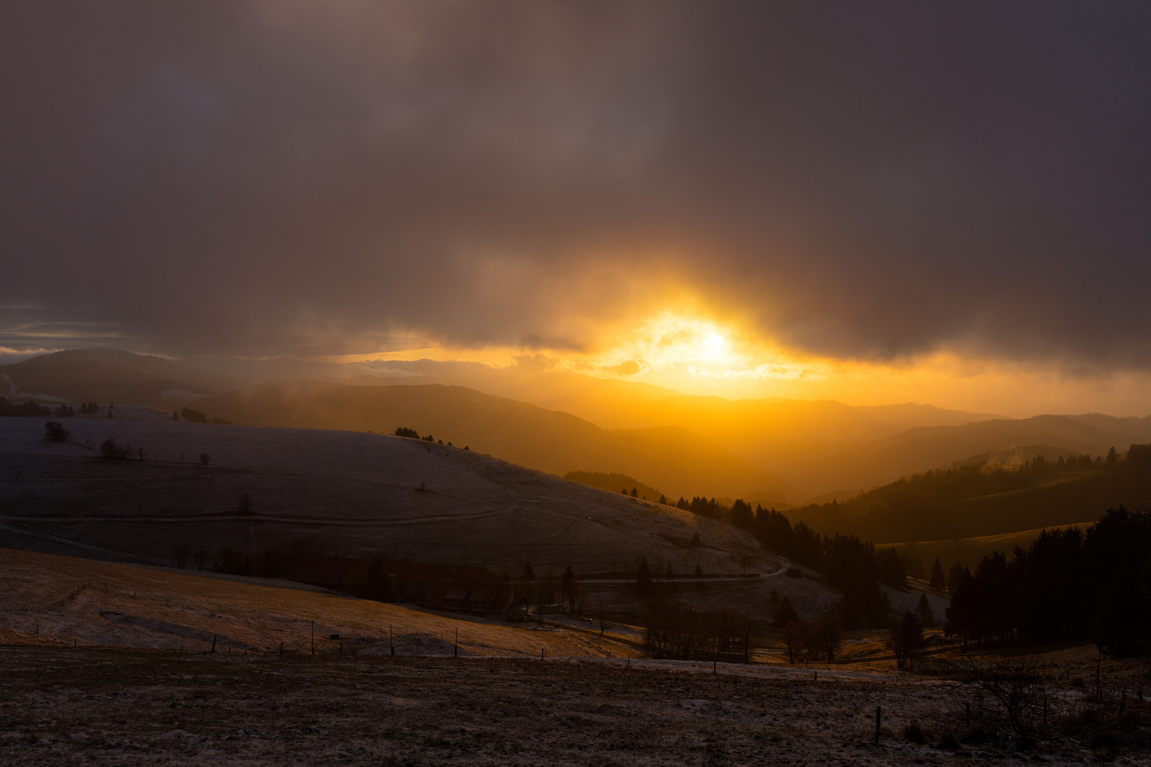 Notschrei im Schwarzwald