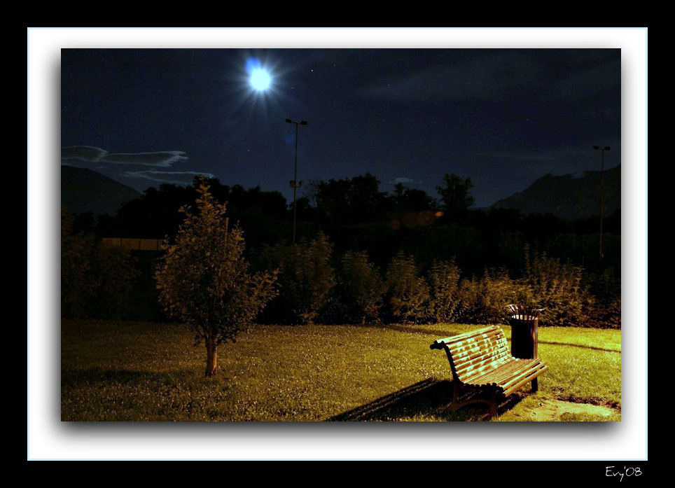 notte estiva al parco...