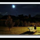 notte estiva al parco...