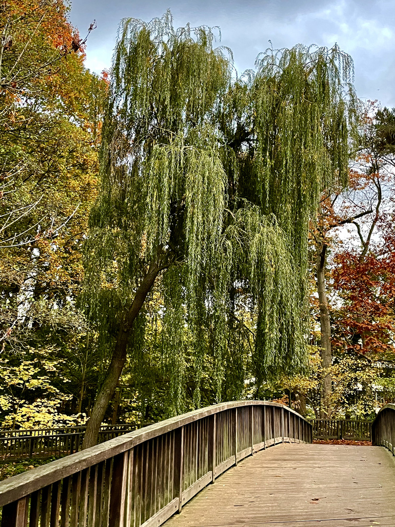 Nottebrücke im Herbst