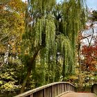 Nottebrücke im Herbst