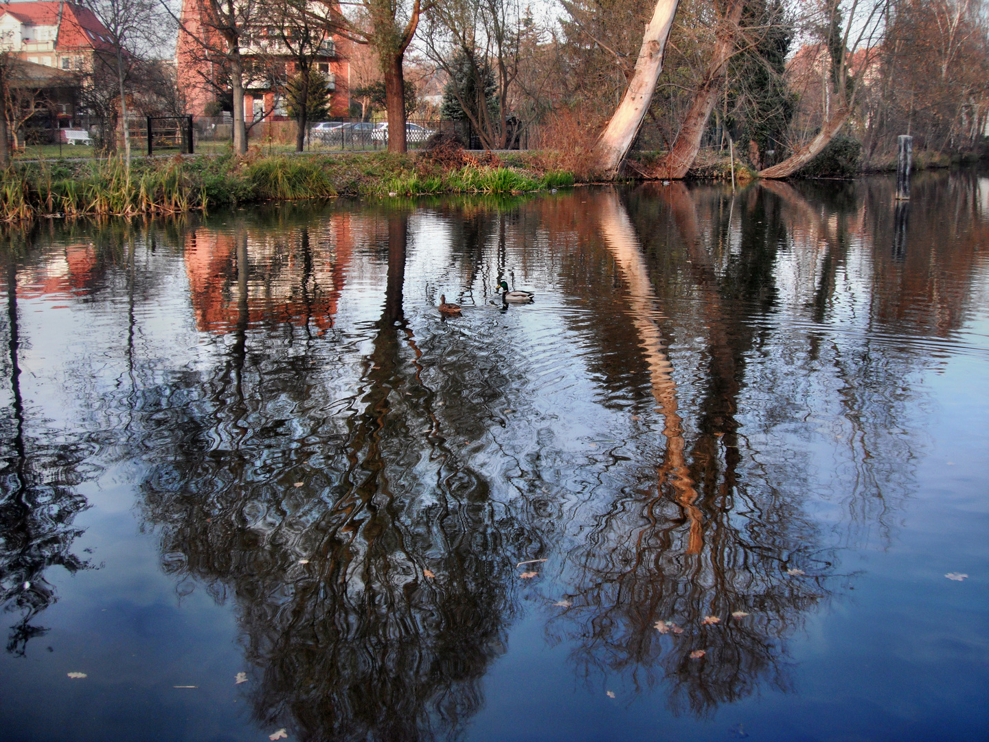 Nottekanal