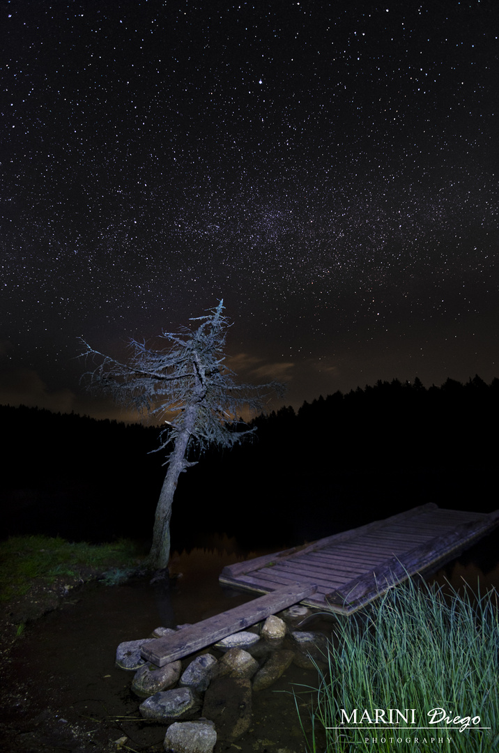 Notturna al lago di Tret