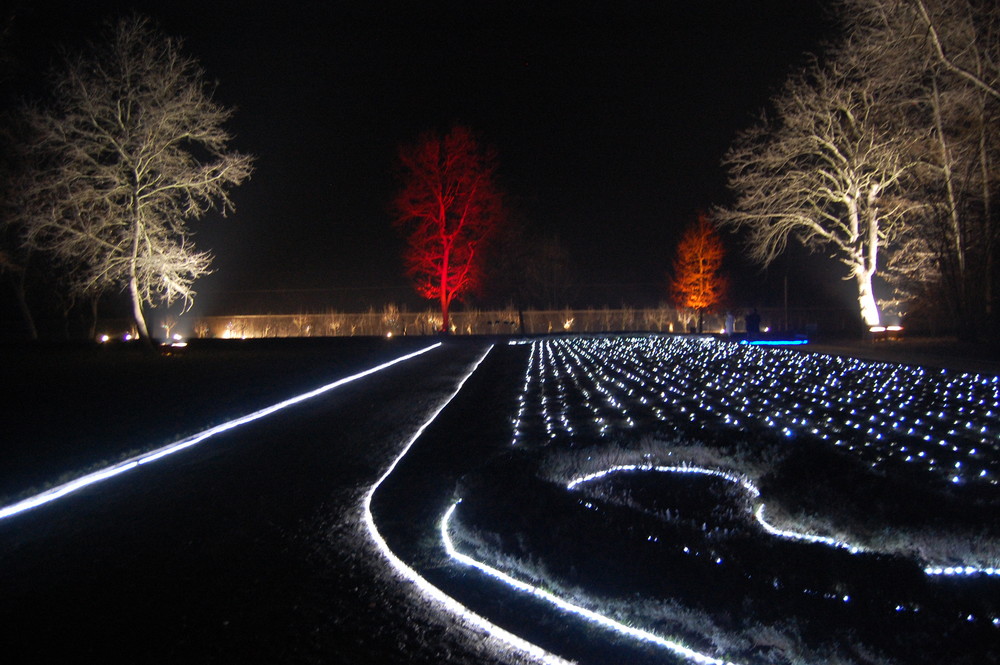 notturno al parco del castello