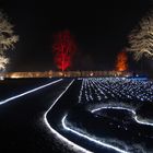 notturno al parco del castello