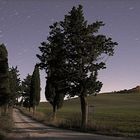 Notturno toscano (A night in Tuscany)