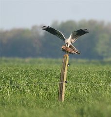 Notwendige Vorbereitung