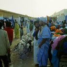 Nouakchott - Markt