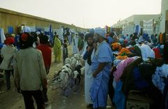 Nouakchott - Markt