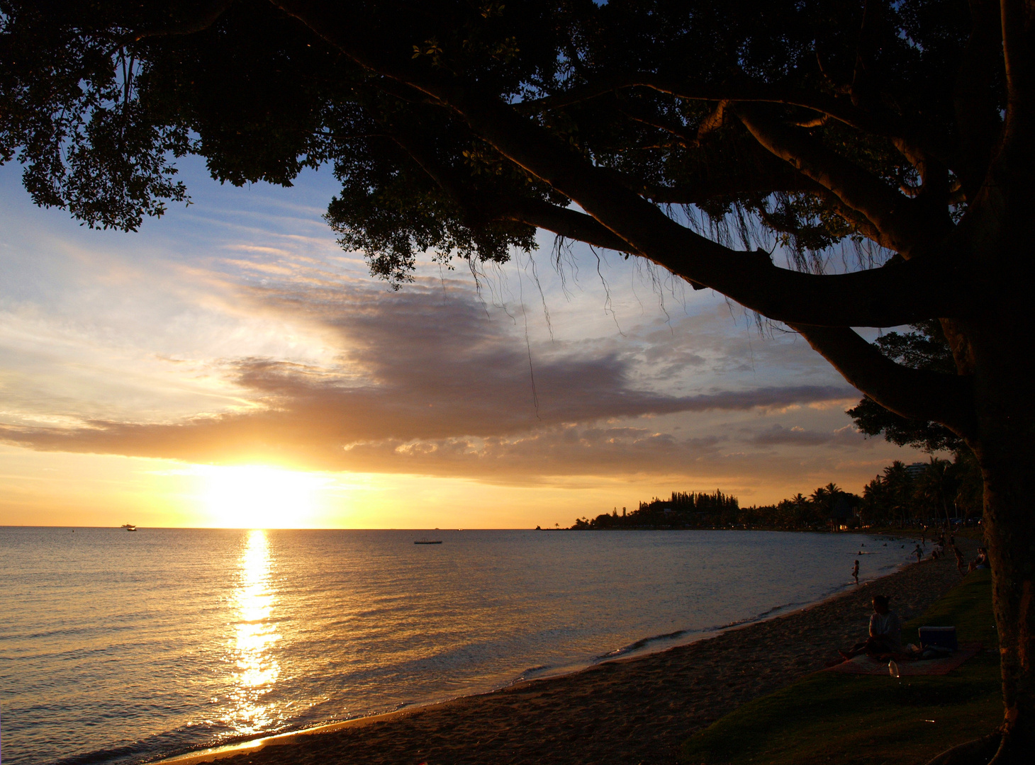 Nouméa Anse Vatapeu Avant Le Coucher Du Soleil Photo Et