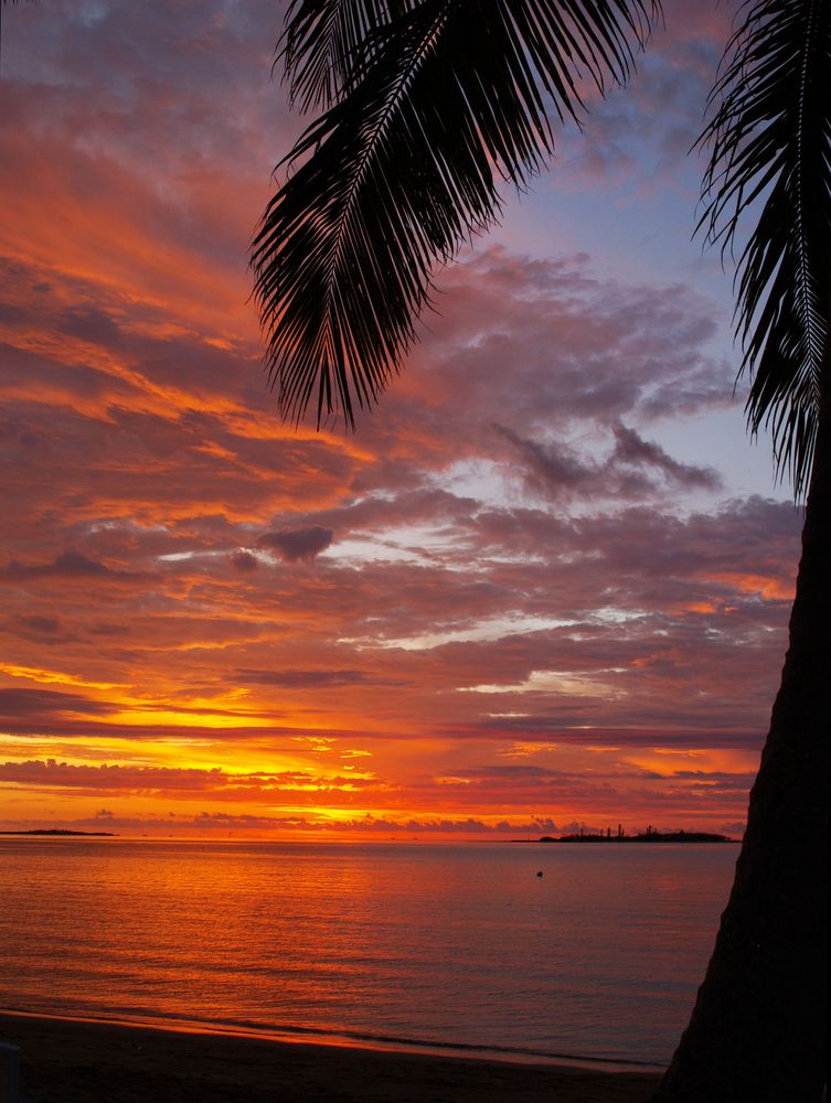 Noumea - Coucher de soleil au palmier - Sonnenuntergang mit Palmenbaum