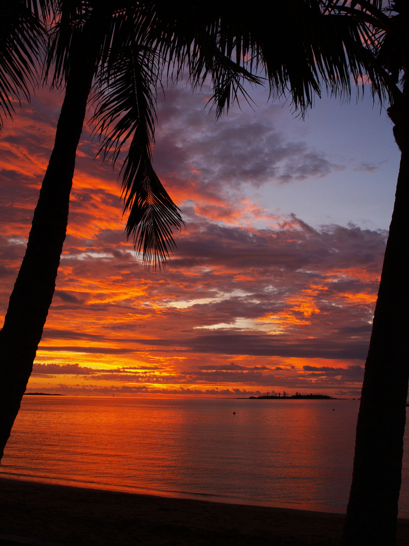 Nouméa – Coucher de soleil aux deux palmiers – Sonnenuntergang mit zwei Palmen