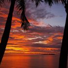 Nouméa – Coucher de soleil aux deux palmiers – Sonnenuntergang mit zwei Palmen