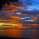 Nouméa – Coucher de soleil et palmier à la mouette