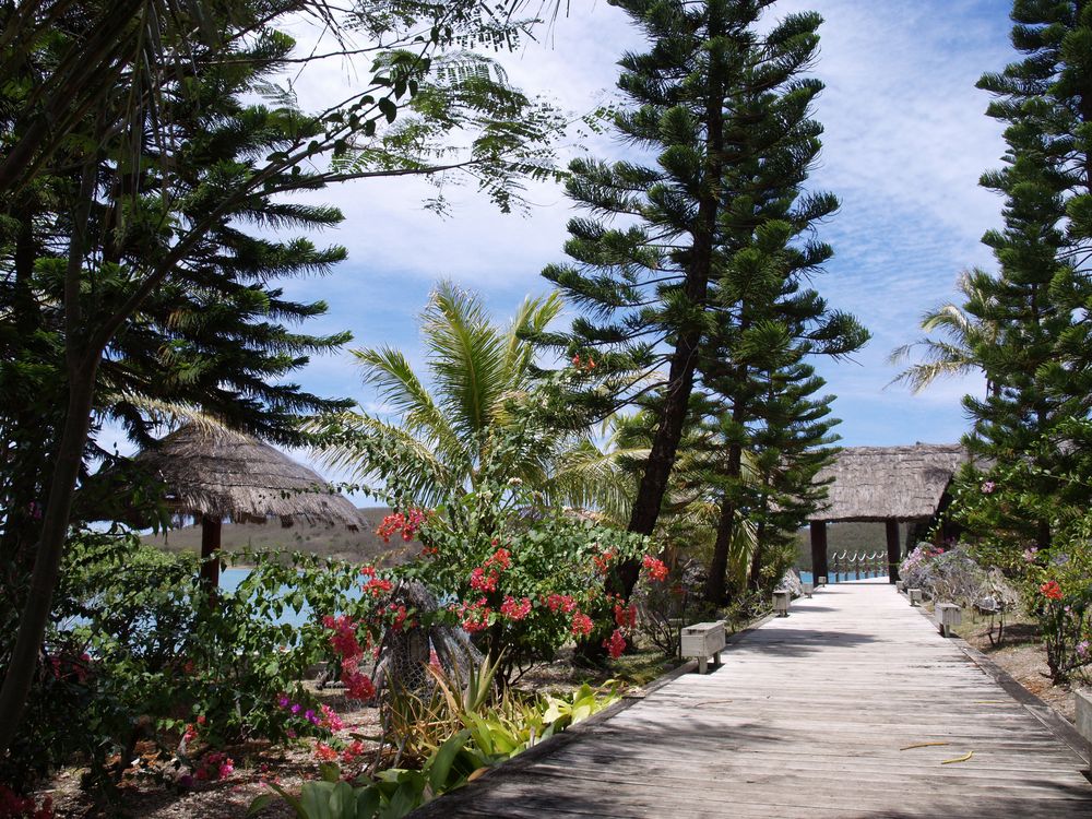 Nouméa - Kuendu Beach Resort - Allée et jardin - Allee und Garten