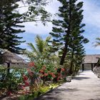 Nouméa - Kuendu Beach Resort - Allée et jardin - Allee und Garten
