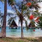 Nouméa - Kuendu Beach Resort - Bord de mer et bungalows