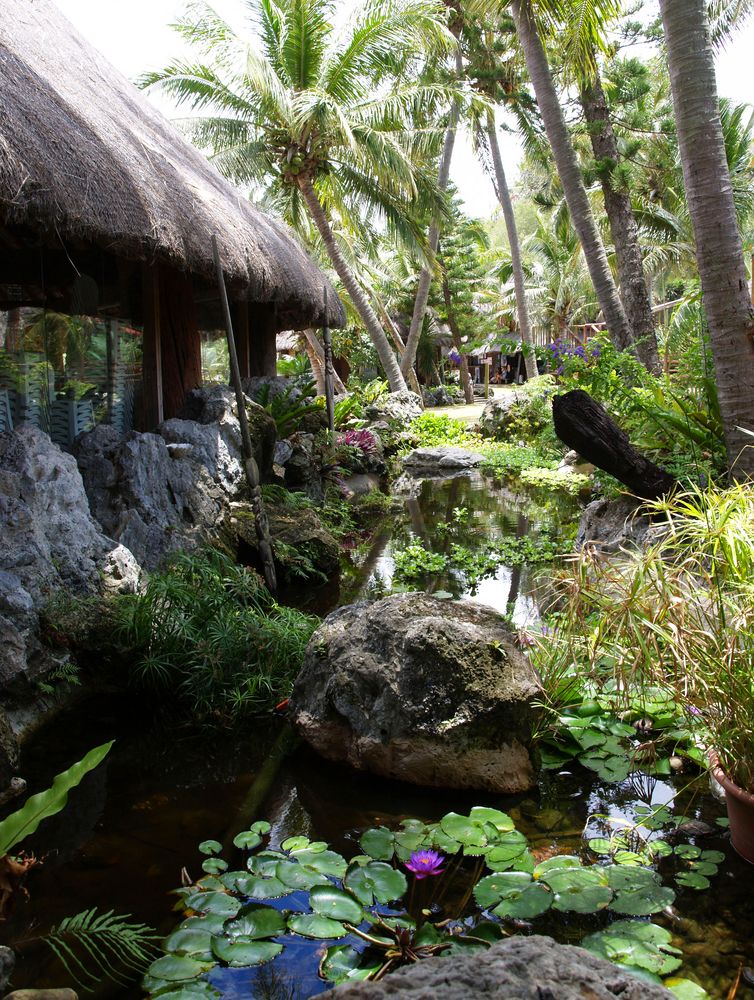 Nouméa - Kuendu Beach Resort - Les jardins aquatiques - Wasser Garten