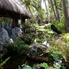 Nouméa - Kuendu Beach Resort - Les jardins aquatiques - Wasser Garten