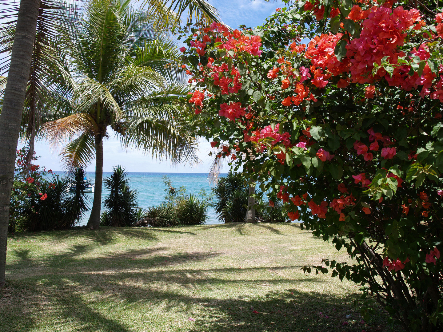 Nouméa - Kuendu Beach Resort - Les jardins - Die Gärten