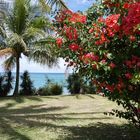 Nouméa - Kuendu Beach Resort - Les jardins - Die Gärten