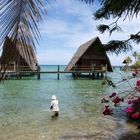 Nouméa - Kuendu Beach Resort - Pêche à l’épervier - Fischen mit Wurfnetz