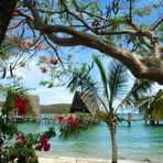 Nouméa - Kuendu Beach Resort - Vue sur une partie des bungalows en bord de mer