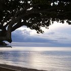 Nouméa - La baie des citrons par temps gris - Die Zitronen-Bucht unter einem grauen Himmel
