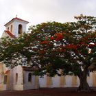 Nouméa – L’Eglise du Vœu (Quartier du Receiving)