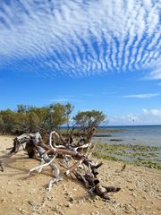 Nouméa - L’Île aux canards 13 - Une autre vue vers l’ouest