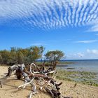 Nouméa - L’Île aux canards 13 - Une autre vue vers l’ouest