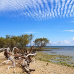 Nouméa - L’Île aux canards 6