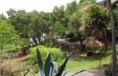 Nouméa - Parc zoologique et forestier 14 - Une vue du parc