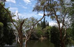 Nouméa - Parc zoologique et forestier 31 – Une vue du parc et d’un lac